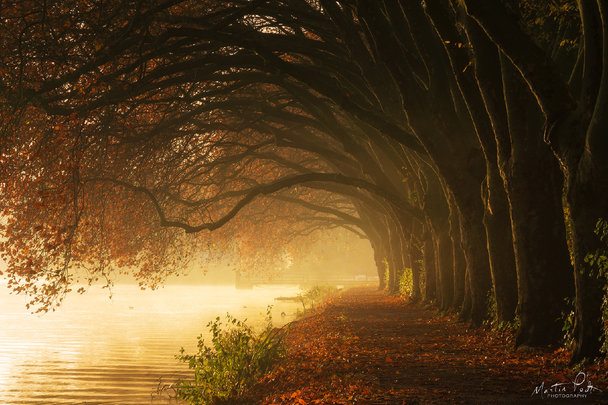 Sunrise on a morning - MartinPodt