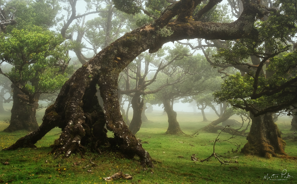 Overrarching Overarching - MartinPodt