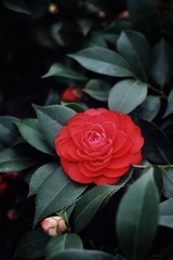6B1F23EC-D96B-4FD4-8F1B-86AA0844672A/L0/001