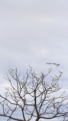 6559AAAE-850C-41F3-A7F1-6DD10F06C3CB/L0/001