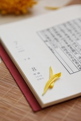 5742F8EA-9D37-42BA-849F-8869D4ACA047/L0/001
