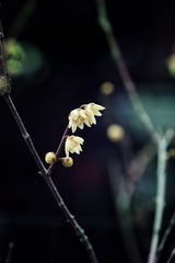 B40CB6C5-5450-4516-8863-D549F62D960D/L0/001