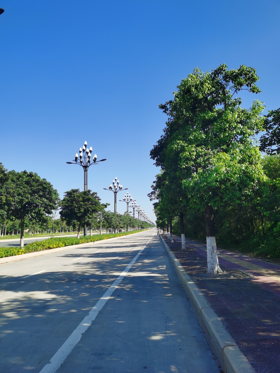 感受生活的慢节奏 [太阳]晴天时,洛阳到台商沿途风景随拍