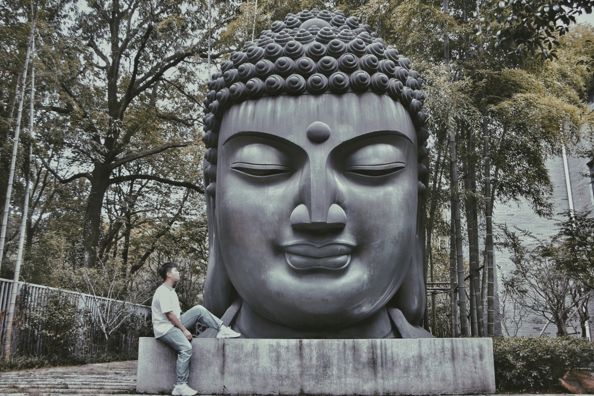 杭州植物园韩美林美术馆巨大佛头下感受禅意