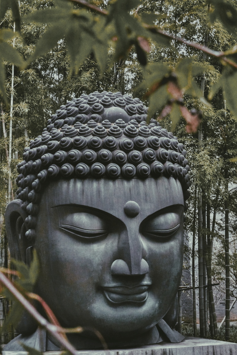 杭州植物园韩美林美术馆巨大佛头下感受禅意