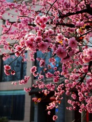 50861258-E957-4A7A-AE18-E20B60FC587C/L0/001
