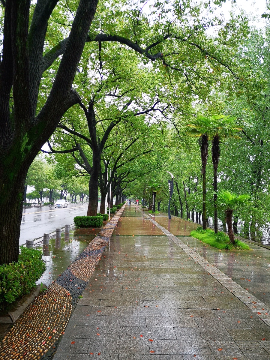 雨后湿漉漉的路面