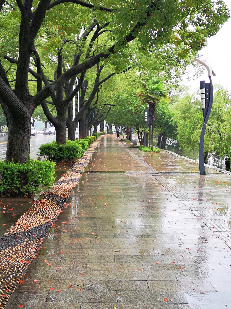 雨后湿漉漉的路面