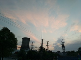 1190081
