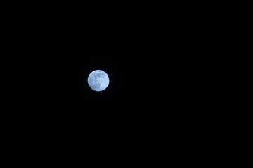 1116100