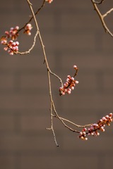 D6770D39-7166-4FF1-8386-19673481D7D8/L0/001