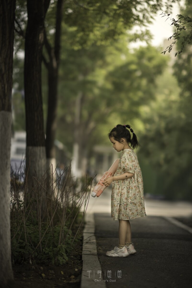 漫漫长夏