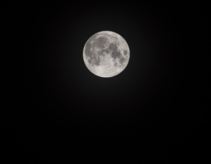 443070