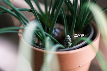 345ED48E-563B-45C9-9733-1F0DCA9ADBC6/L0/001