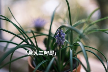B0A63EA3-F18D-4E1C-8AB0-CE0BDF14A0FF/L0/001