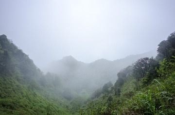 _DSC0244