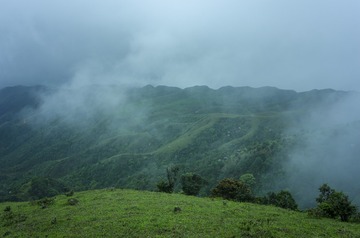_DSC0308
