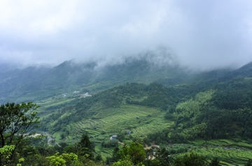 _DSC0594