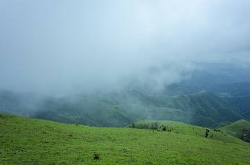 _DSC0301