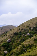 _ZLH4617