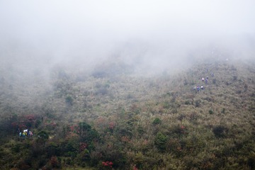 _ZLH4564