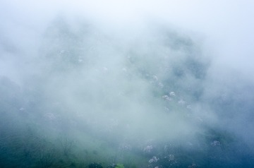 _DSC0469_1