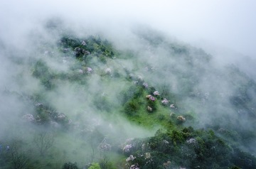 _DSC0498_1