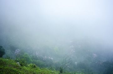 _DSC0464_1