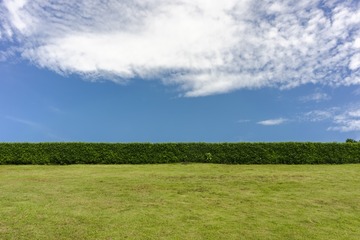 _DSC0718