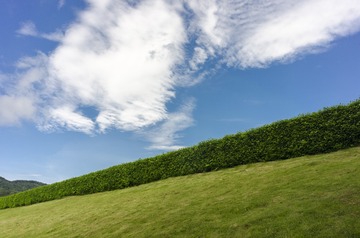_DSC0715