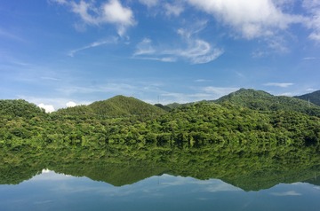 _DSC0685