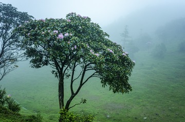 _DSC0326