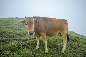 _DSC0564