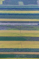 _ZLH4810