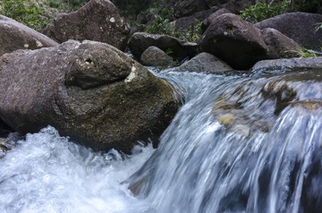 _DSC0656