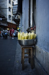 _DSC0213