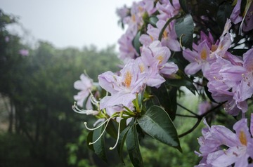 _DSC0356