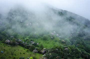 _DSC0520_1