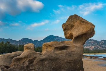 20181103_0891_antumu
