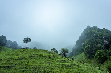 _DSC0321