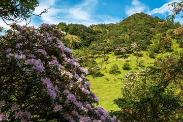 20190427_154324_ZLH2845