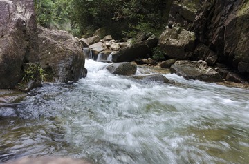 _DSC0343