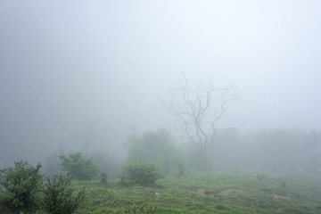 _DSC0414