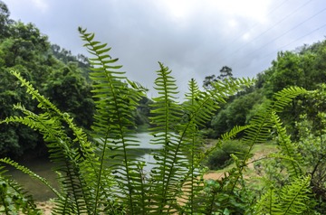 _DSC0101