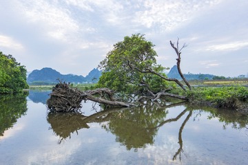 _DSC2580