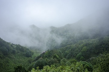_DSC0248