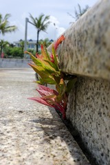 _DSC0150