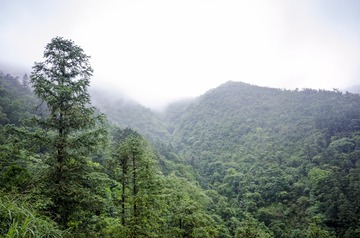 _DSC0035