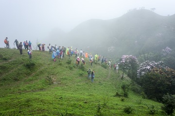 _DSC0430