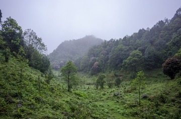 _DSC0239